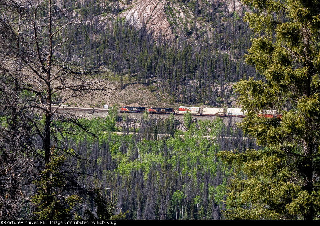 Westbound stacks ascending Yellowhead Pass just west of Jasper